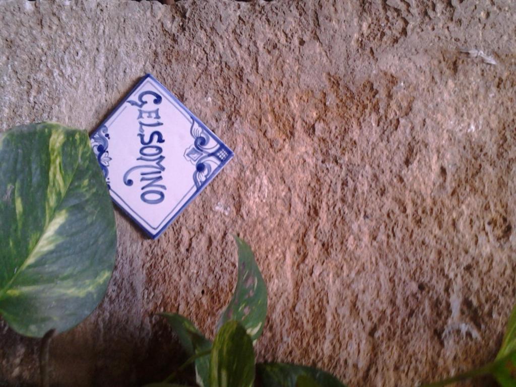Apartament Il Cortile Fiorito Trapani Zewnętrze zdjęcie