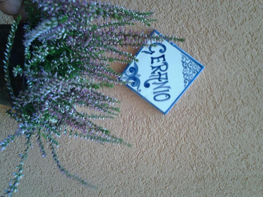 Apartament Il Cortile Fiorito Trapani Zewnętrze zdjęcie